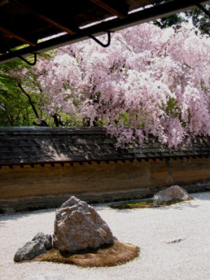 Ryoan-ji_15_Steine.jpg