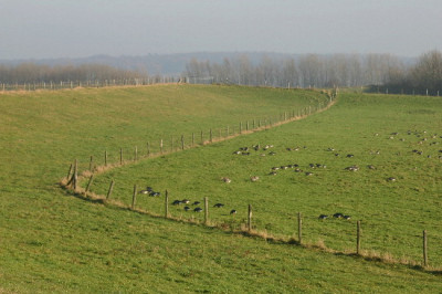 Rhein-Dez-12.jpg