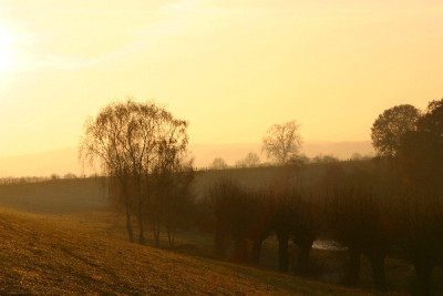 Rhein-Dez-13.jpg