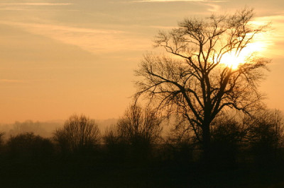 Rhein-Dez-14.jpg