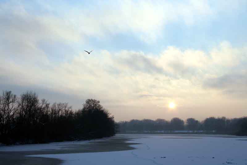 Mowen-2.jpg