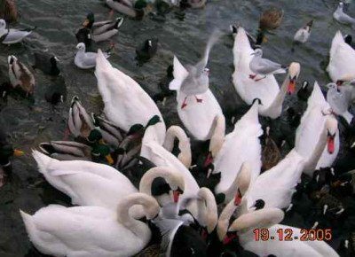 DSCN2716.jpg
