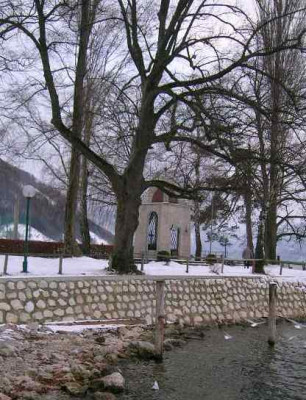 DSCN2718.jpg