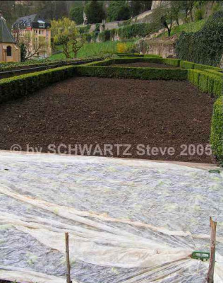 08.04.2005_12.jpg