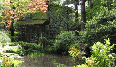 Nishida_Gyokusen_F.jpg