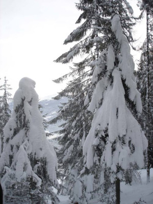 wildnis-013.jpg