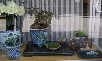 Fenster_F.jpg