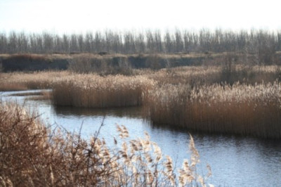 Kiessee_im_dezember.jpg