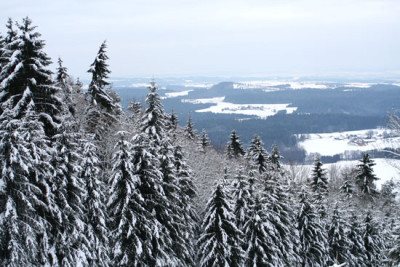 Bayerischer-Wald-1.jpg