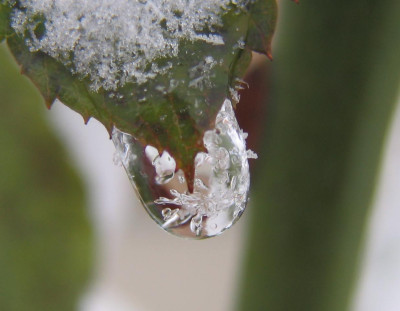 Eistropfen1.jpg