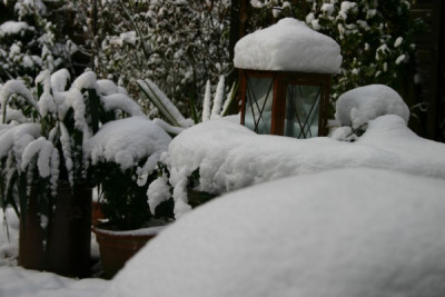 schneehaube.jpg