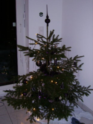PICT0646.JPG