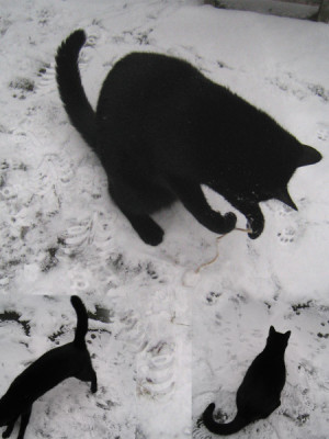 schneespielzeug2.jpg