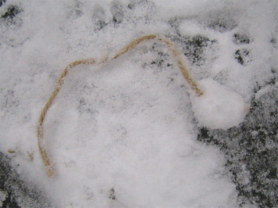 schneespielzeug3.jpg