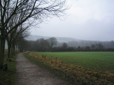 1000_Eichen_20051223.jpg