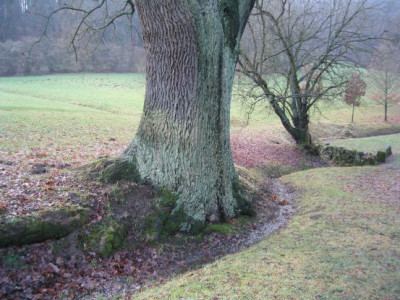 Loewenburg_20051223.jpg
