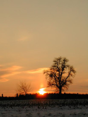 sonnenuntergangwinter.jpg