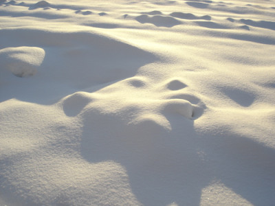 schneemaisfeld.jpg