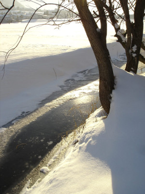 schneebach.jpg