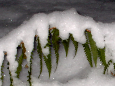 Winter_29.12.05._006.jpg