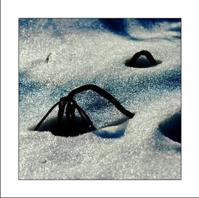Eis_und_Schnee_01-01-06_6.jpg