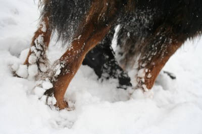 Schneeklump.jpg