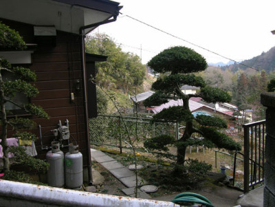vorgarten7.jpg