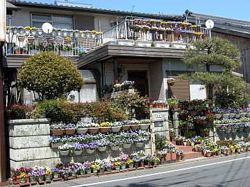 hangende_garten.jpg