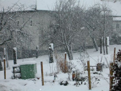 schneebaah.jpg