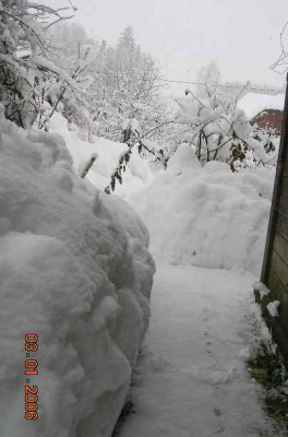 DSCN2816.jpg