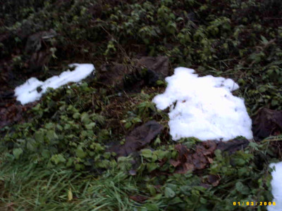 2006_0103Bild0024.JPG