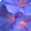 Picturetest_180_1_1_1_1.jpg