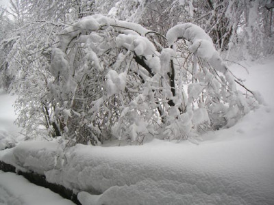schneeball.jpg