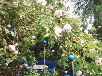 Terrasse_mit_SdlM_05_Kopie.jpg
