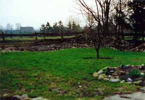 Fruhjahr_94_5_Kopie.jpg