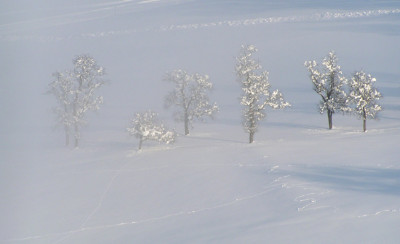 a_winter_8.jpg