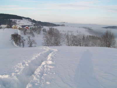 a_winter_9.jpg