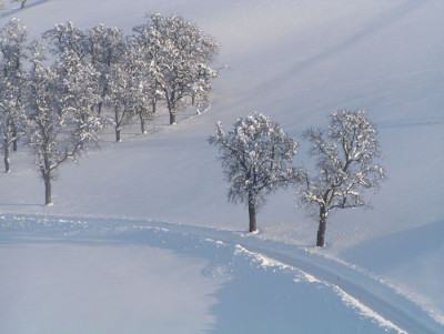 a_winter_10.jpg