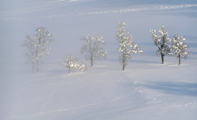a_winter_8_th.jpg