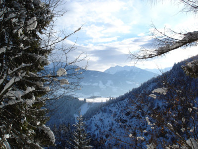 schneeumlberg.jpg