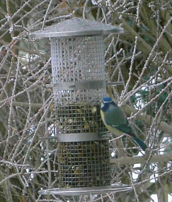 Vogelsilo1.jpg