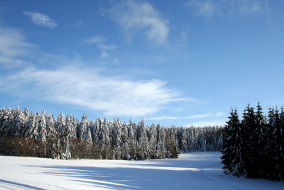 Rusel-4.jpg
