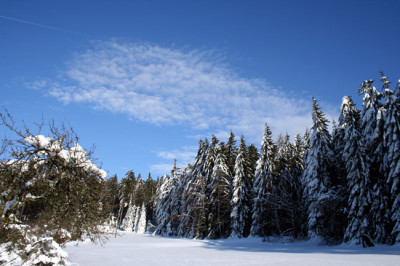 Rusel-2.jpg