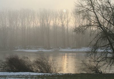 Donau-2.jpg