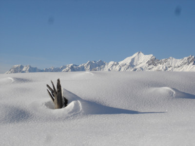 holz-im-schnee.jpg