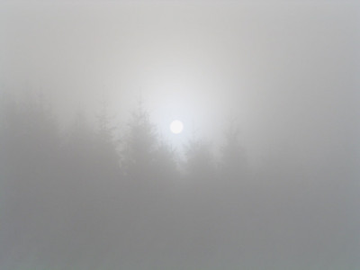 nebel1.jpg