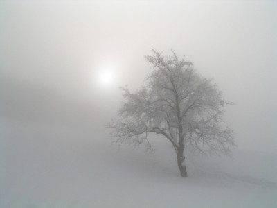 nebel2.jpg