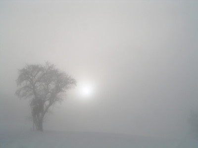 nebel3.jpg