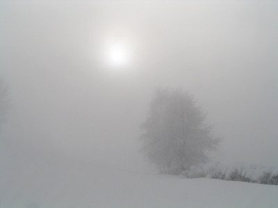 nebel4.jpg