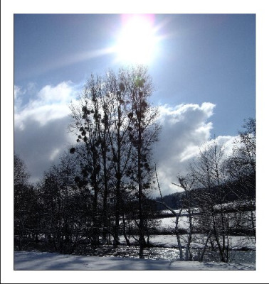 Schnee__Landschaft_2005_1.jpg
